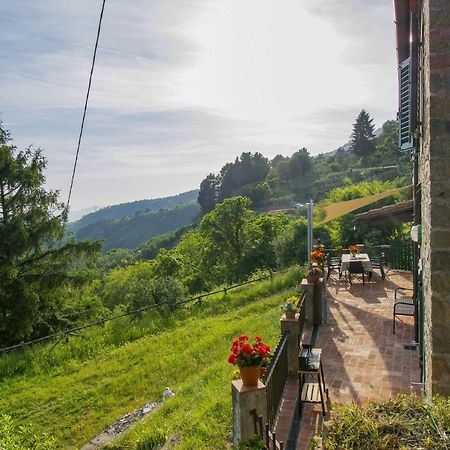 Casa Serena Villa Petrognano  Buitenkant foto