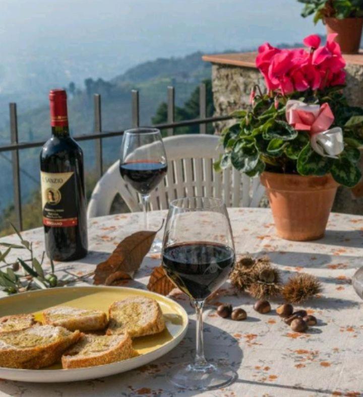 Casa Serena Villa Petrognano  Buitenkant foto