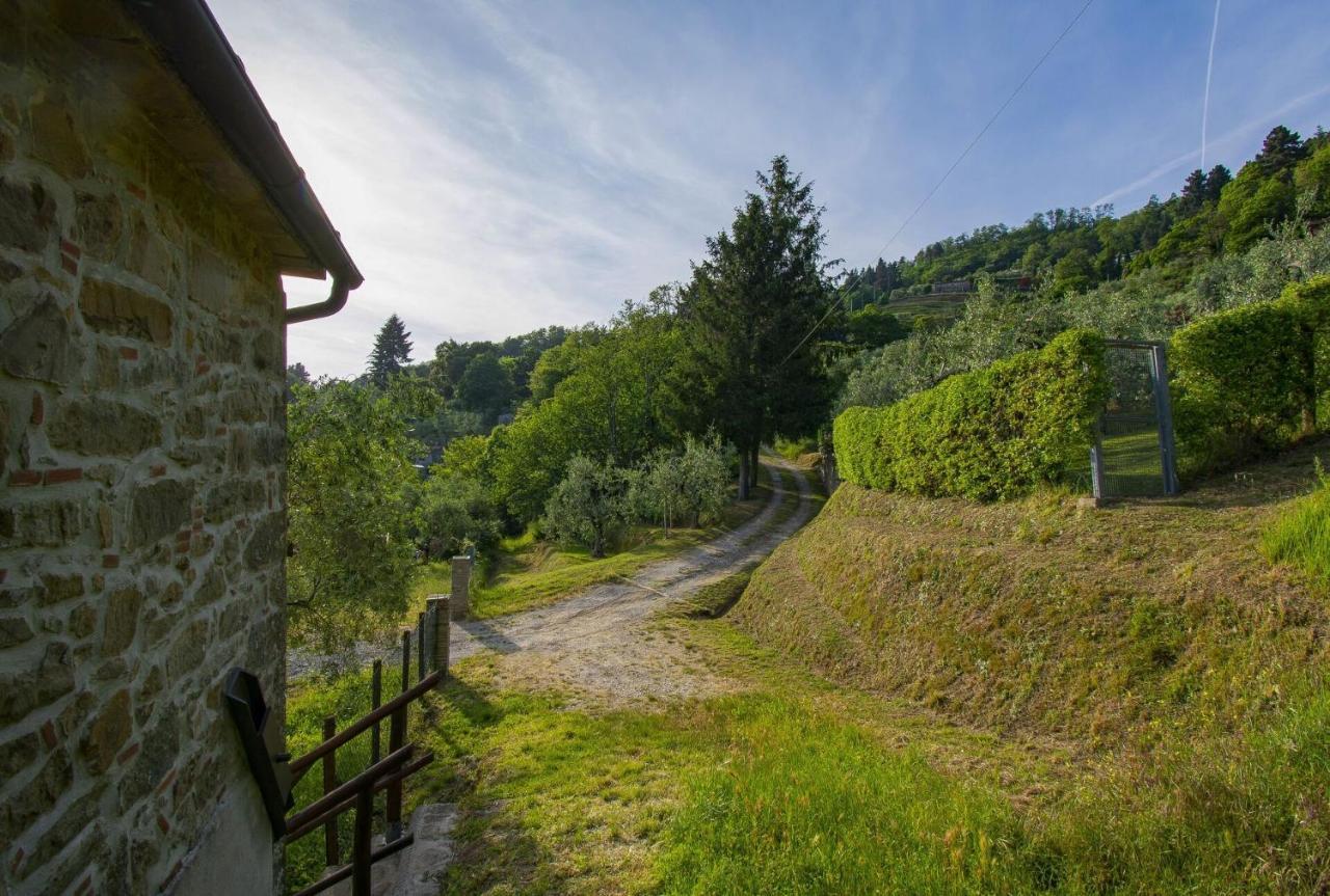 Casa Serena Villa Petrognano  Buitenkant foto