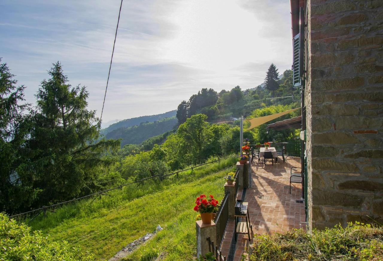 Casa Serena Villa Petrognano  Buitenkant foto