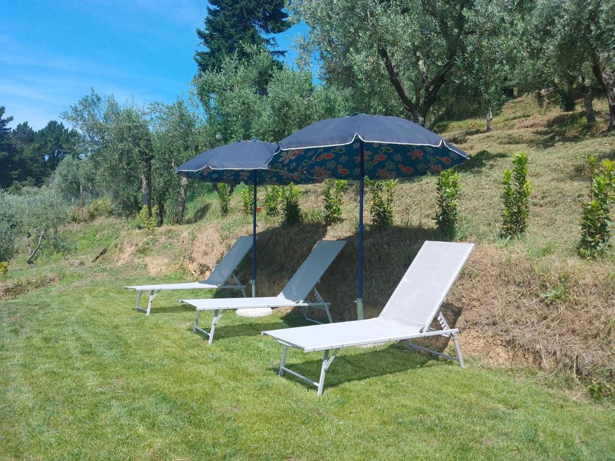 Casa Serena Villa Petrognano  Buitenkant foto