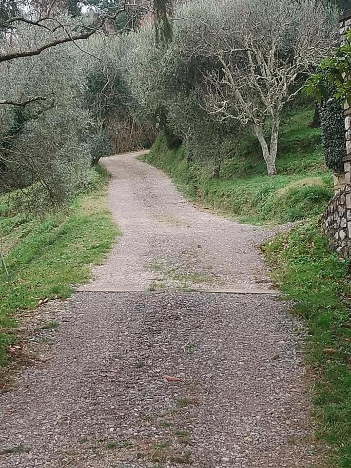 Casa Serena Petrognano  Buitenkant foto