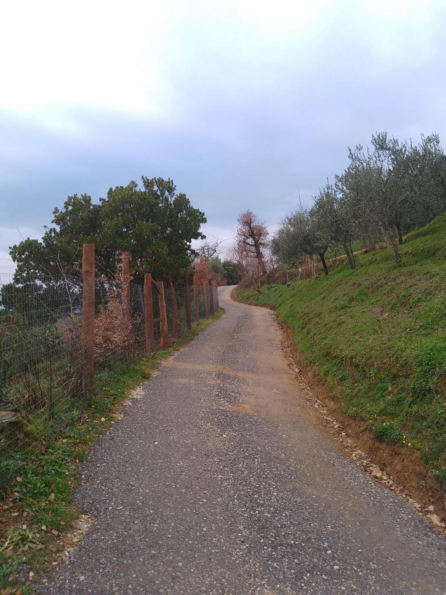 Casa Serena Villa Petrognano  Buitenkant foto
